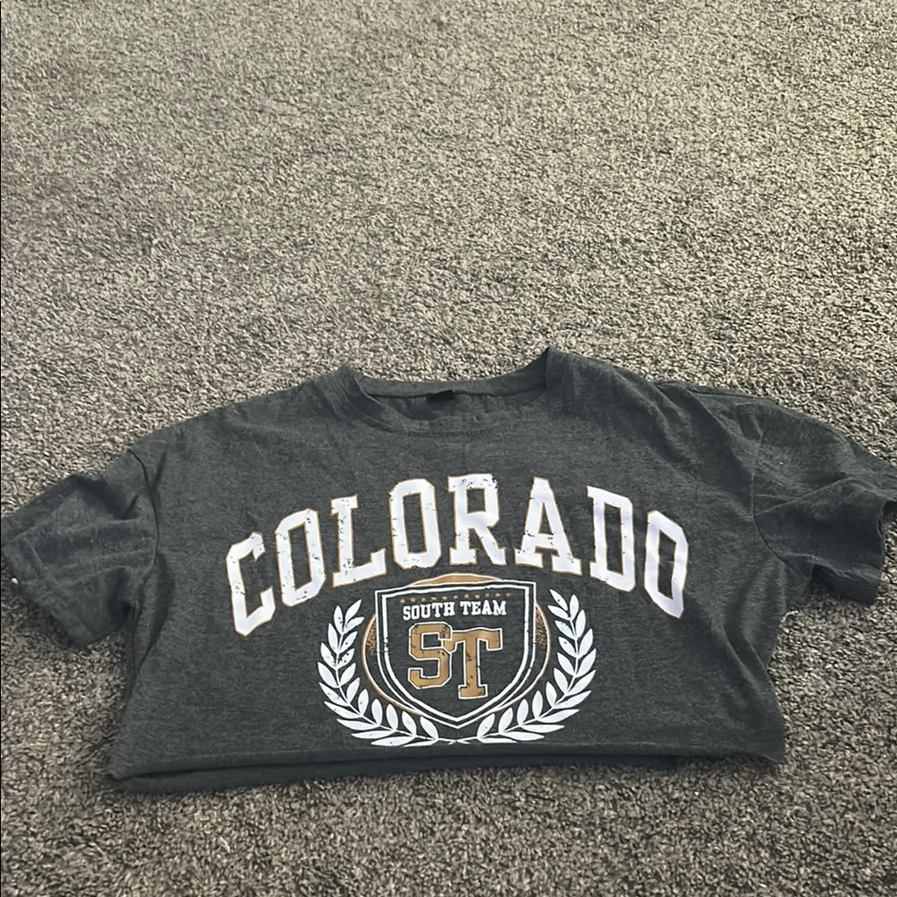 SHEIN Gray Colorado Graphic Short Sleeve Tee